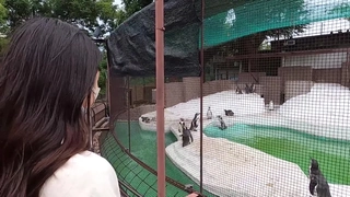 能来免费的黄色录相看看吧大战性感空姐，极品身材粉嫩奶乳（完整版58分钟已上传下面简阶）
