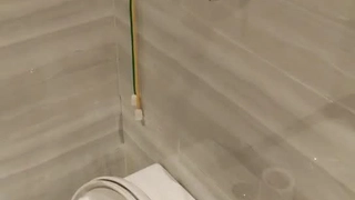 长沙马克兔兔第一弹