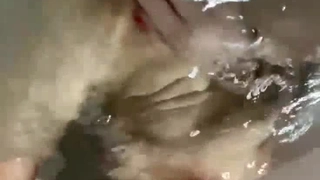 美国独立日小骚穴难受了,想自慰